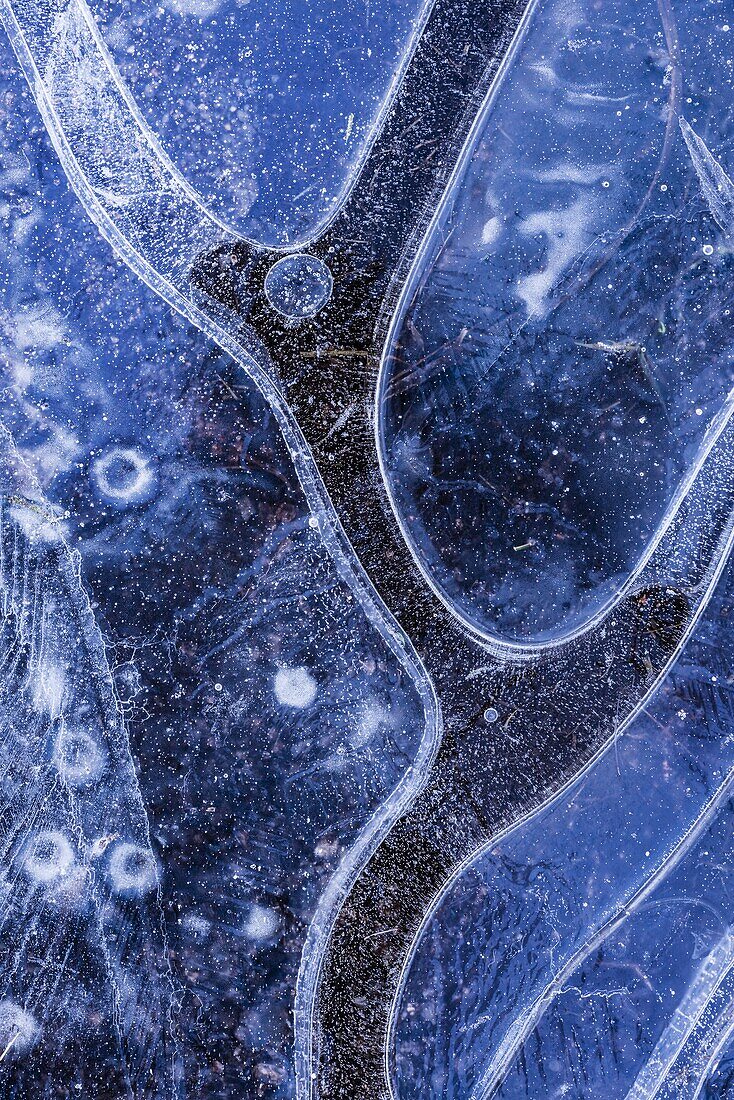 Ice pattern in frozen pond, Dartmoor, Devon, England, United Kingdom, Europe