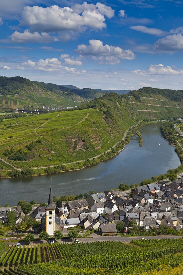 The famous bow near Bremm on the River Moselle, Rhineland-Palatinate, Germany, Europe