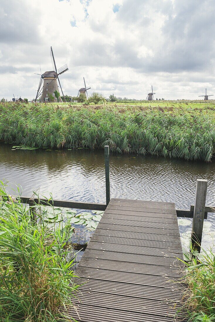 Canal and windmills, Kinderdijk, UNESCO World Heritage Site, South Holland, The Netherlands, Europe
