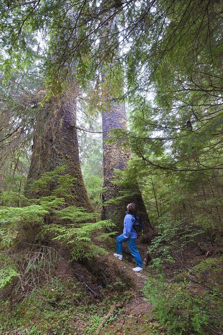 Hiking in Naikoon Provincial Park, Haida Gwaii (Queen Charlotte Islands), British Columbia, Canada, North America