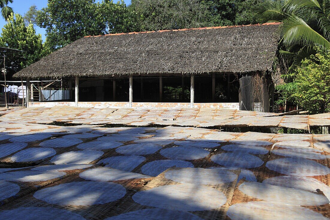 Rice paper crepes drying, Rice Noodle Factory, Mekong Delta, Can Tho Province, Vietnam, Indochina, Southeast Asia, Asia