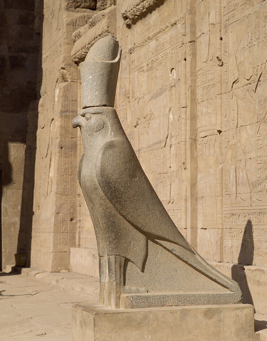 The Statue of Horus (the falcon god), at the Temple of Horus, Edfu, Egypt, North Africa, Africa