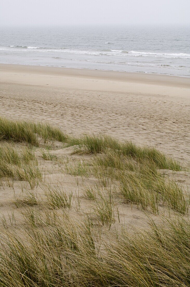 Curracloe beach, County Wexford, Leinster, Republic of Ireland (Eire), Europe