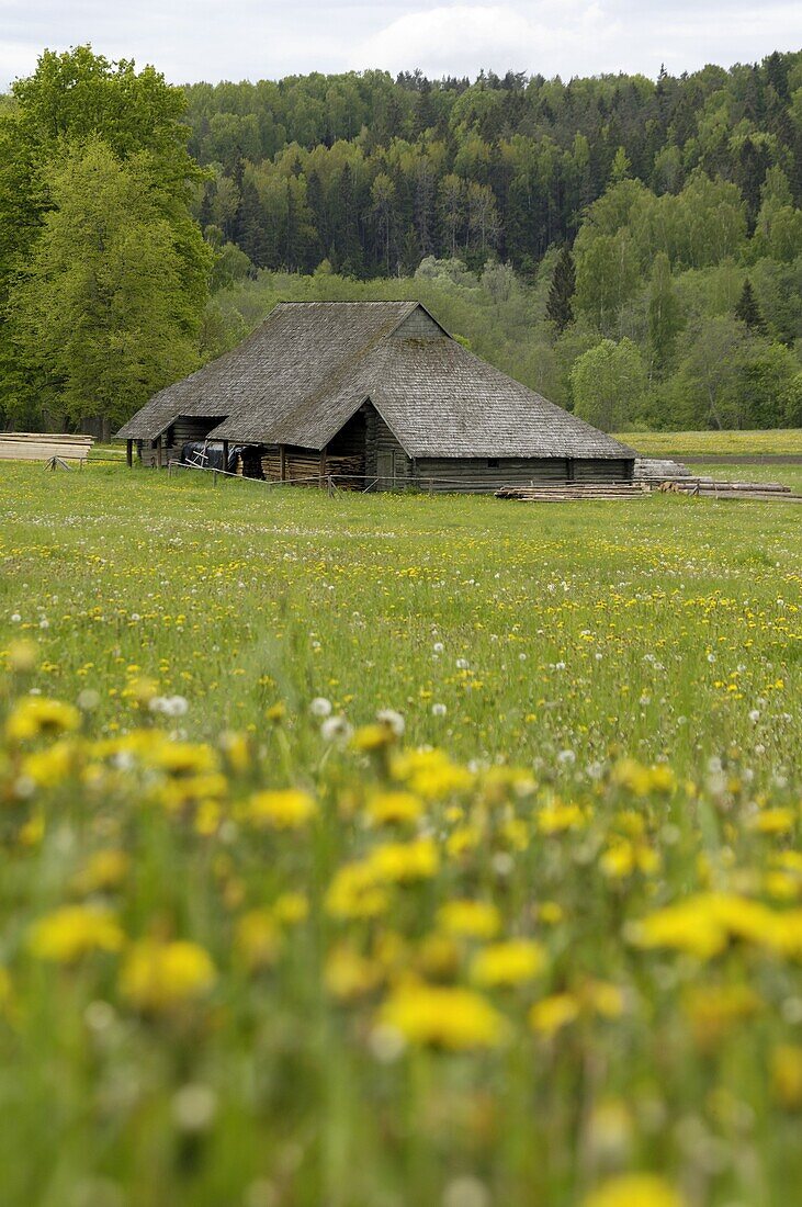 Typical Latvian farmstead, near Ligatne, Gauja National Park, Latvia, Baltic States, Europe
