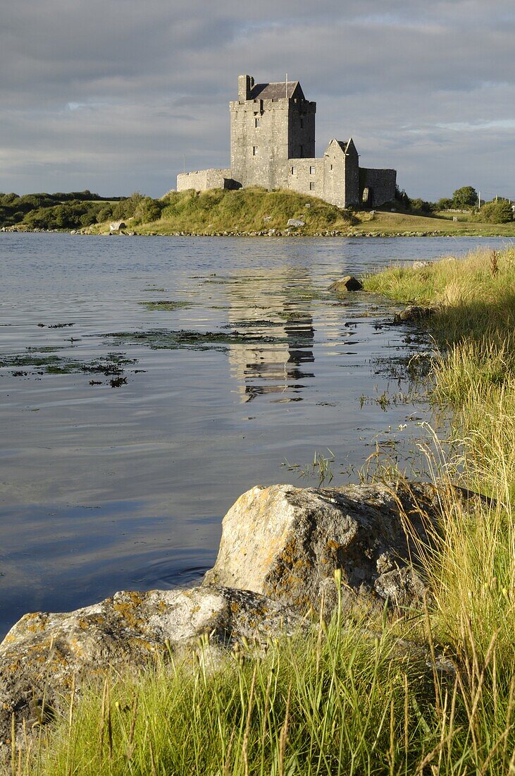 Dunguaire (Dungory) Castle, Kinvarra, County Galway, Connacht, Republic of Ireland, Europe