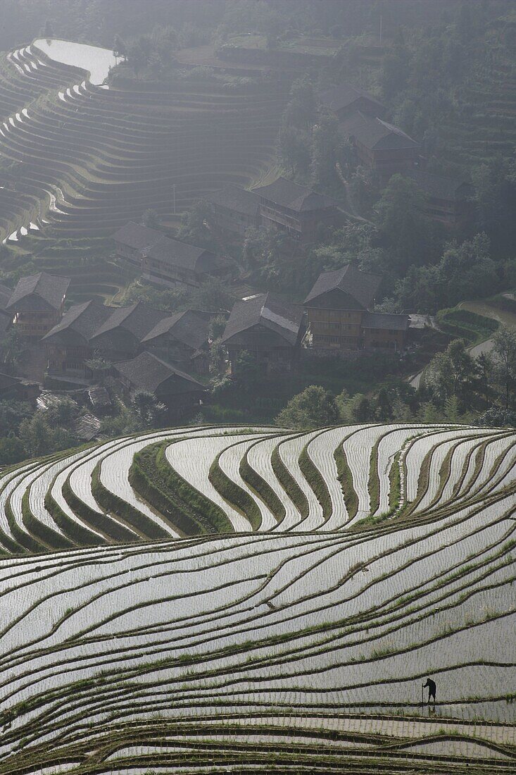 Farmer in Longsheng terraced ricefields, Guangxi Province, China, Asia