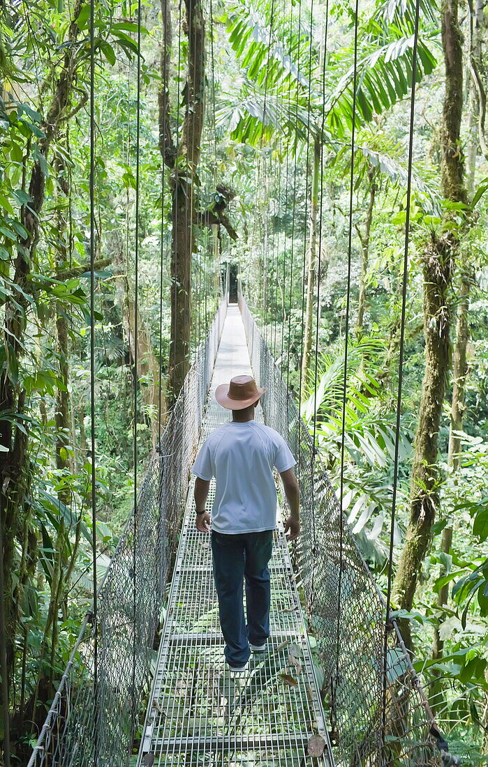 Man walking across hanging bridge in rainforest, La Fortuna, Arenal, Costa Rica, Central America
