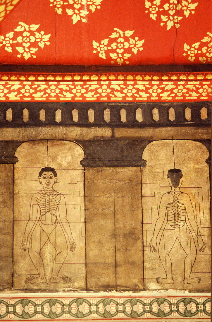 Acupressure points on a mural at Wat Po, Bangkok, Thailand, Southeast Asia, Asia