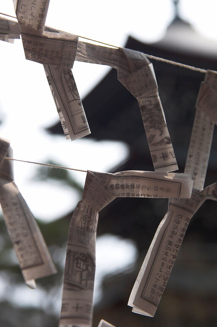 Close up of traditional wish and fate papers tied up on line, Hida Kobubun ji temple, Takayama, Hida District, Honshu, Japan, Asia