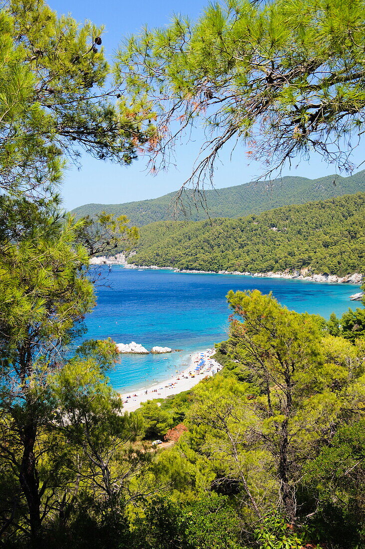 Milia Beach, Skopelos, Sporades Islands, Greek Islands, Greece, Europe