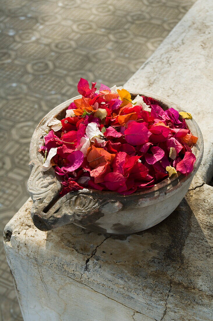 Marble bowl with floating flowers, Udai Vilas Palace, Dungarpur, Rajasthan state, India, Asia