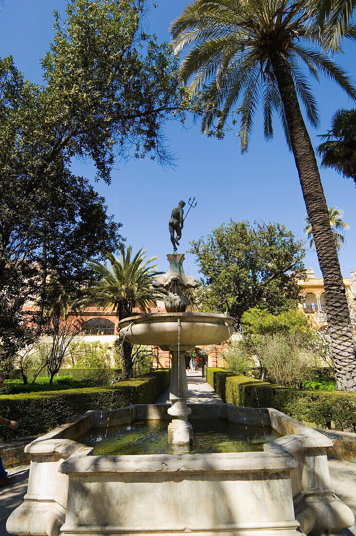 The gardens of the Real Alcazar, UNESCO World Heritage Site, Santa Cruz district, Seville, Andalusia (Andalucia), Spain, Europe