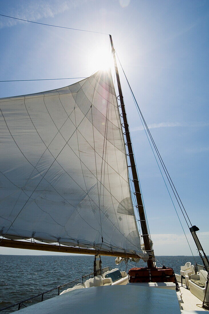 Rebecca T. Ruark, a famous historic Skipjack, the oldest in the U.S.A., Dogwood Harbour, Tilghman Island, Talbot County, Chesapeake Bay area, Maryland, United States of America, North America