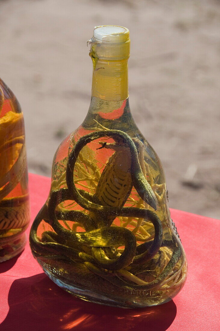 Snakes in bottles of spirits thought to have medicinal properties, Laos, Indochina, Southeast Asia, Asia