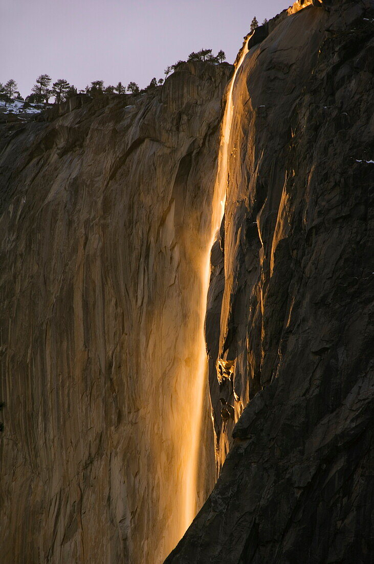 Afternoon light on Horsetail Falls, a phenomenon that occurs once or twice a year in late February due to the angle of the sun and snow melt on the cliffs, Yosemite Valley, Yosemite National Park, UNESCO World Heritage Site, California, United States of A