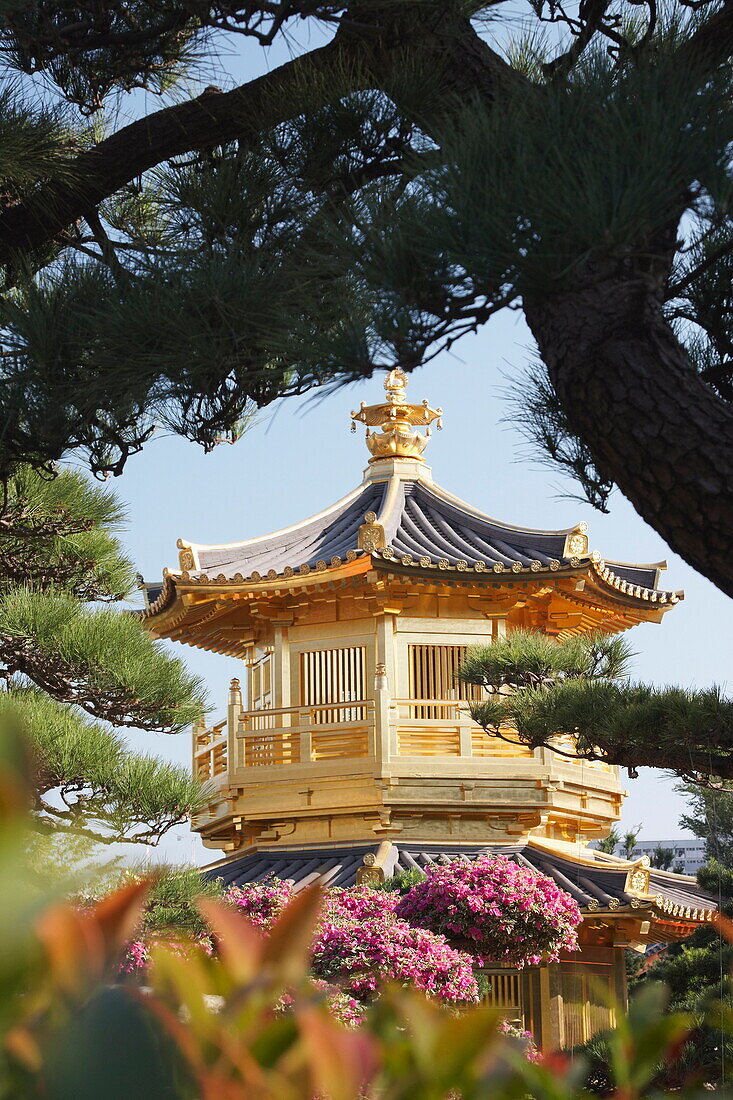 Golden Pagoda in Nan Lian Garden near Chi Lin Nunnery, Diamond Hill, Kowloon, Hong Kong, China, Asia