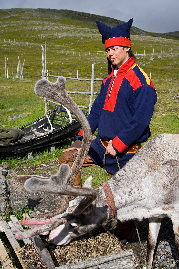 Sami with reindeer, Mageroya Island, Finnmark Region, Norway, Scandinavia, Europe