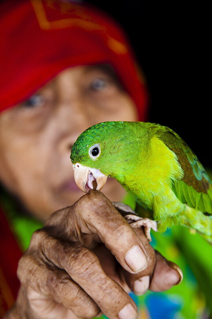 Kuna woman with pet parrot in the San Blas Islands, Panama, Central America