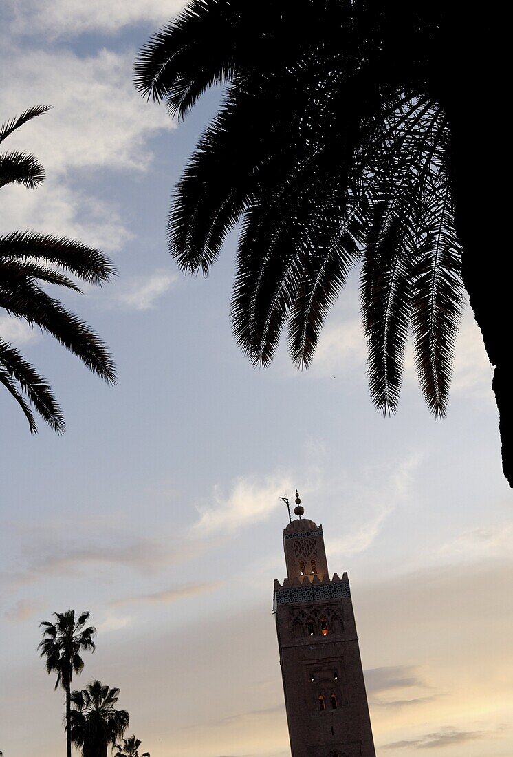 The Koutoubia minaret rises up from the heart of the old medina next to a mosque of the same name, Marrakesh, Morocco, North Africa, Africa