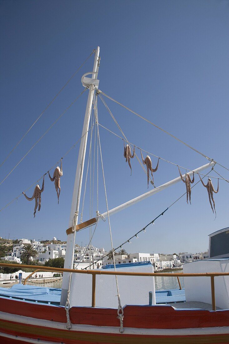 Octopus drying, Chora, Mykonos, Cyclades, Greek Islands, Greece, Europe