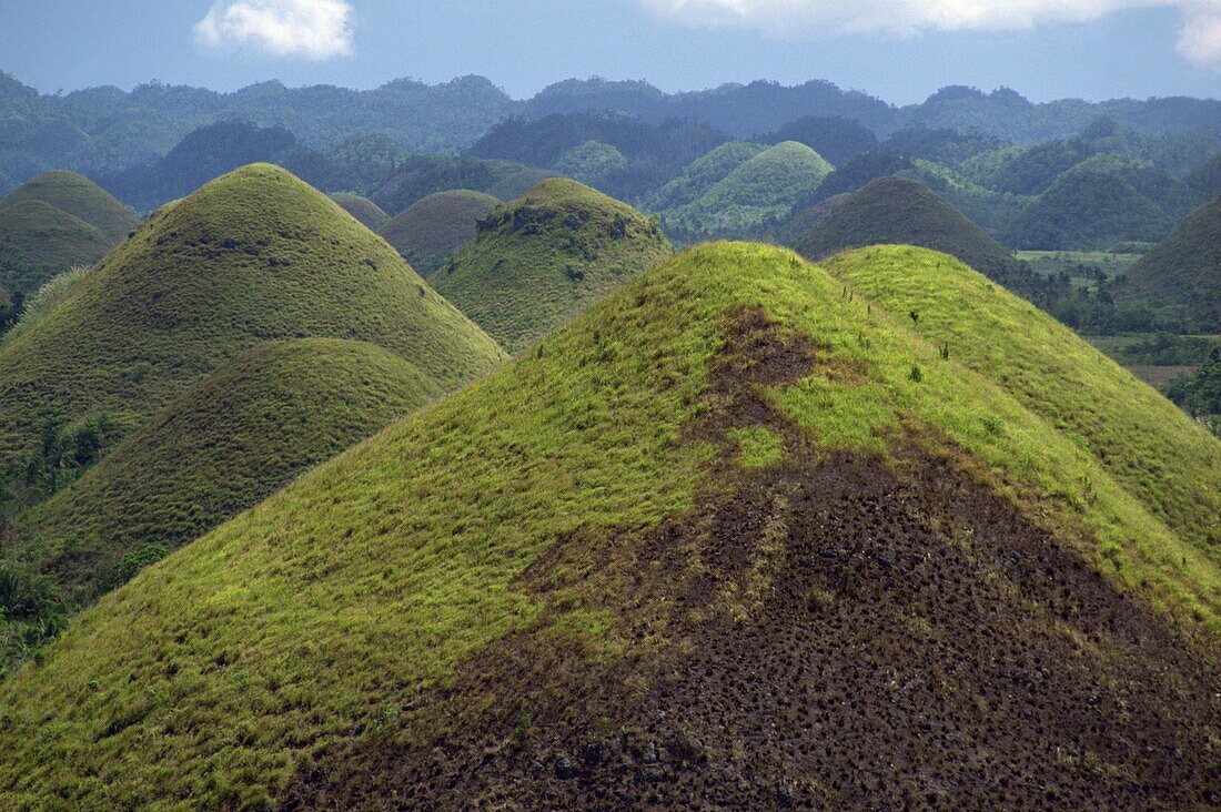 The Chocolate Hills, a famous geological curiosity, with over 1000 of them, on the island of Bohol, the Philippines, Southeast Asia, Asia