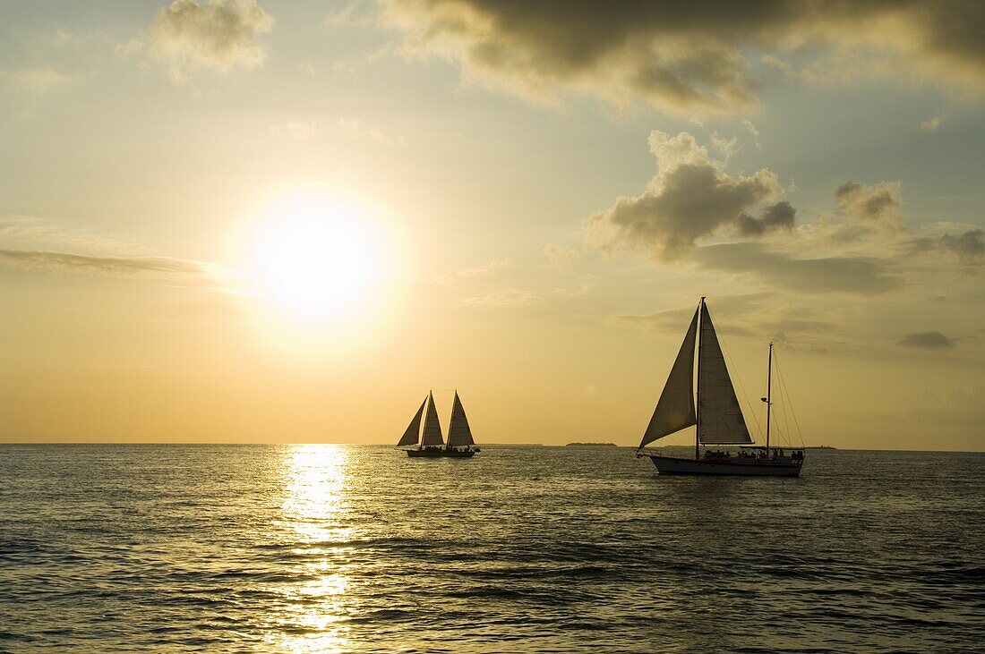 Sailboats at sunset, Key West, Florida, United States of America, North America