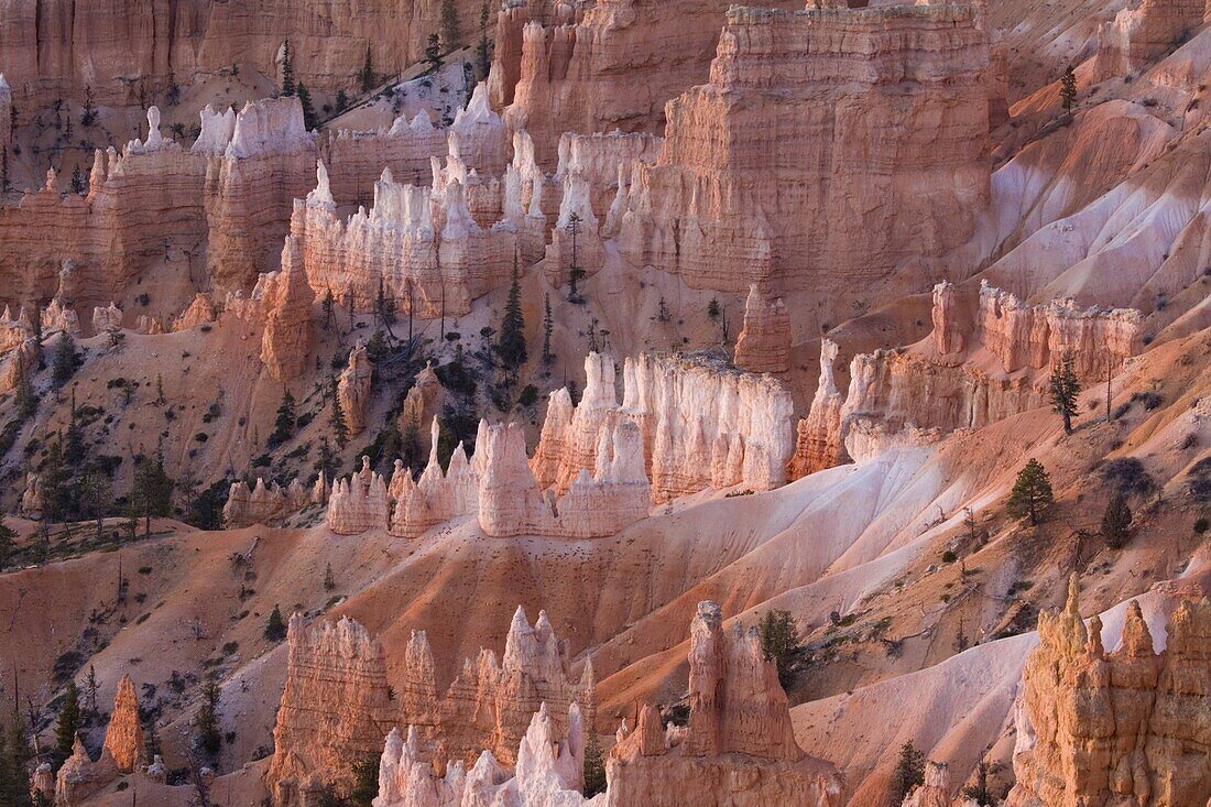View from Sunrise Point at sunrise, Bryce Canyon National Park, Utah, United States of America, North America