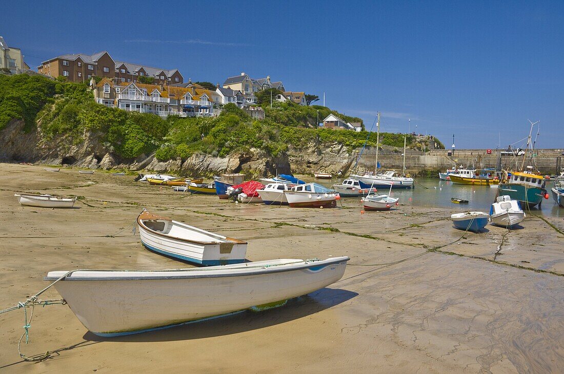 Small fishing boats and yachts at low tide, Newquay harbour, Newquay, Cornwall, England, United Kingdom, Europe