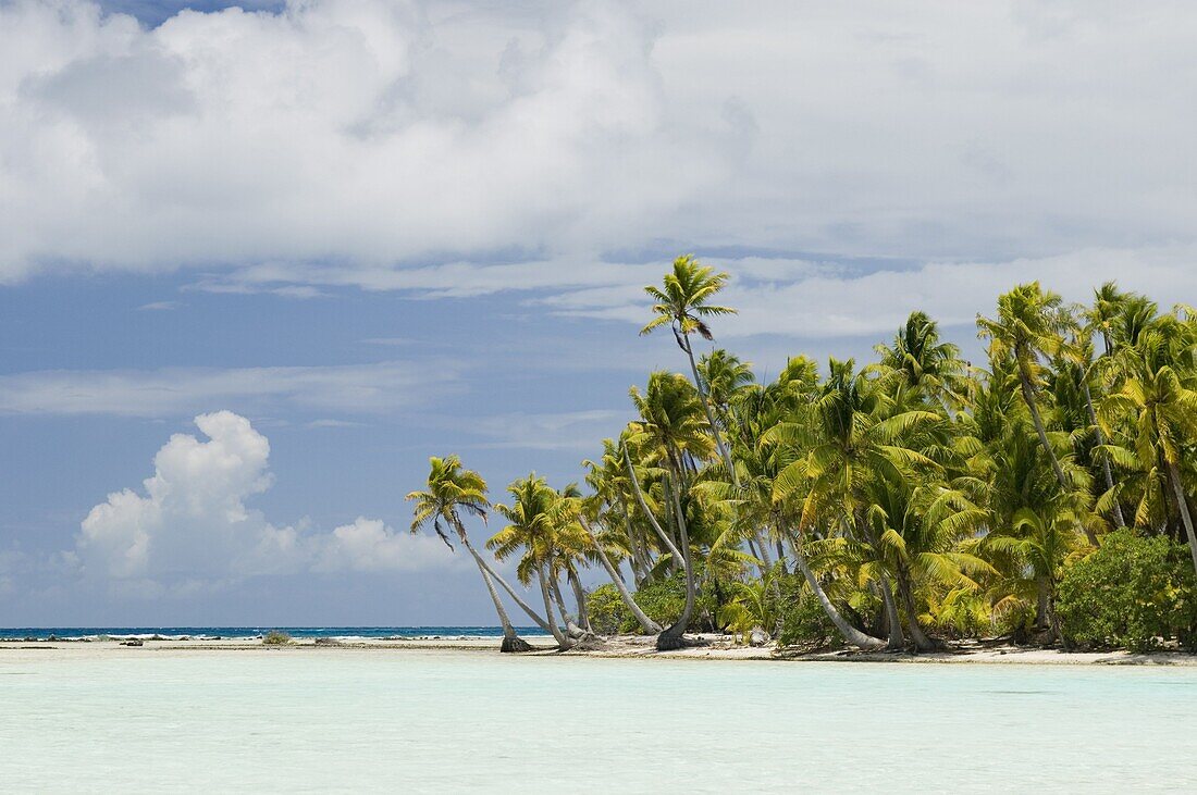 Blue Lagoon, Rangiroa, Tuamotu Archipelago, French Polynesia, Pacific Islands, Pacific