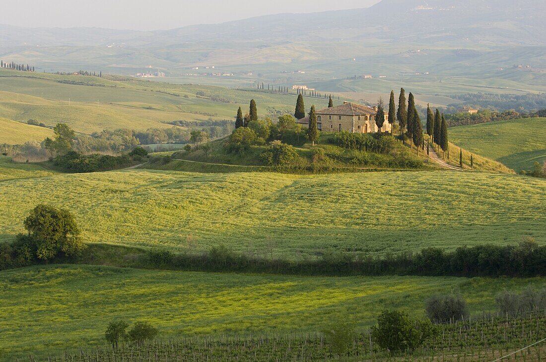 Country house, Il Belvedere, San Quirico d'Orcia, Val d'Orcia, Siena province, Tuscany, Italy, Europe