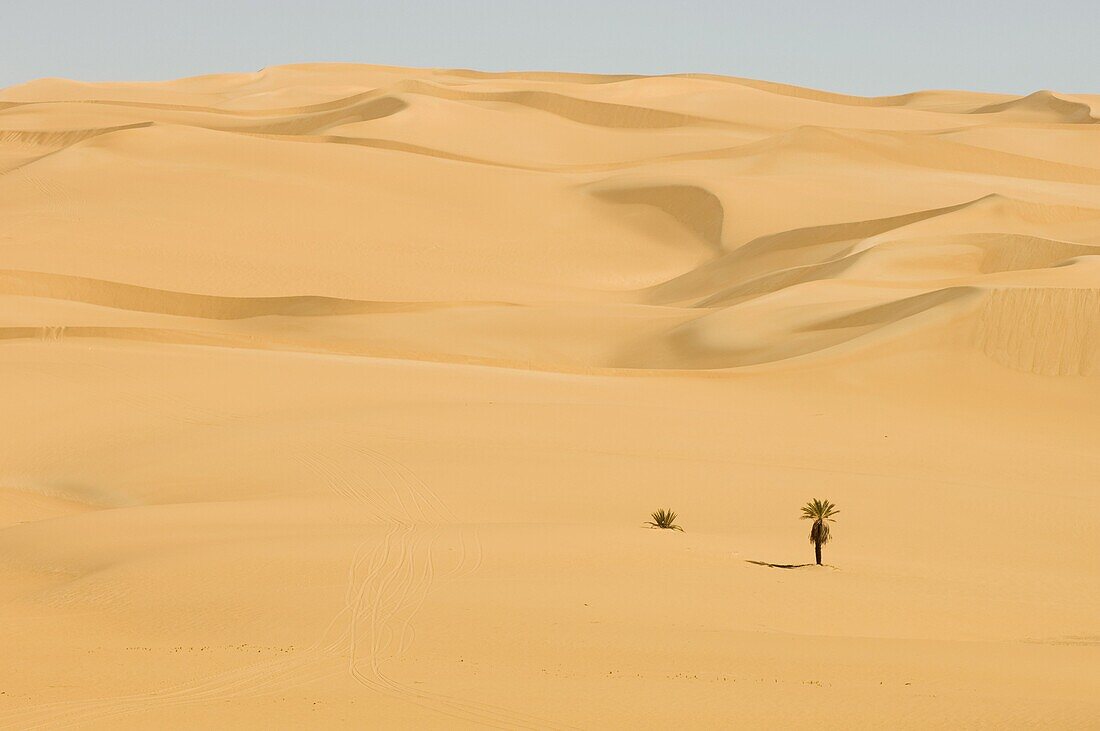 Erg Awbari, Sahara desert, Fezzan, Libya, North Africa, Africa