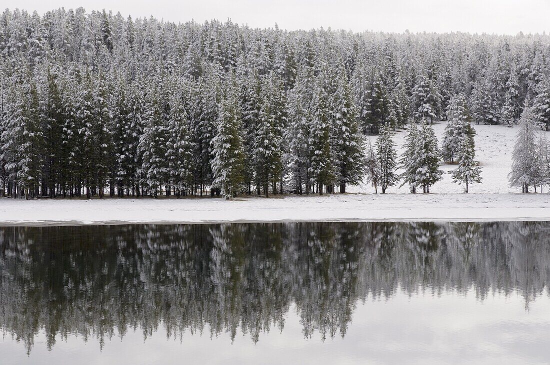 Yellowstone River in winter, Yellowstone National Park, UNESCO World Heritage Site, Wyoming, United States of America, North America