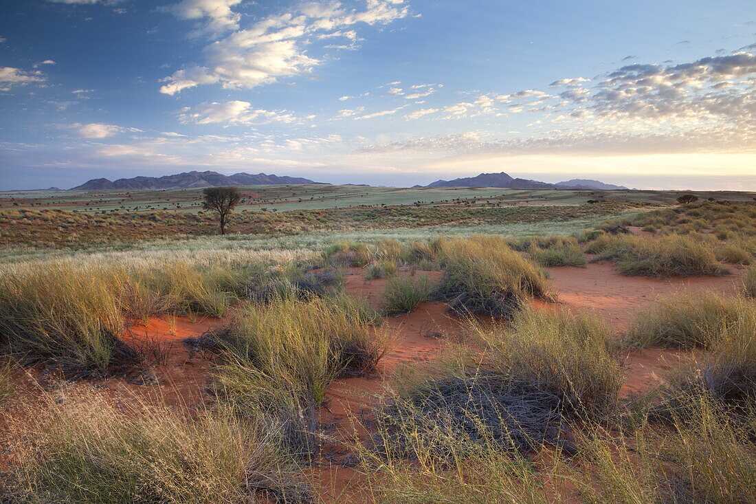 View across magnificent landscape of orange sand dunes and sandstones mountains at Wolwedans, part of the Namib Rand game reserve, Namib Naukluft Park, Namibia, Africa