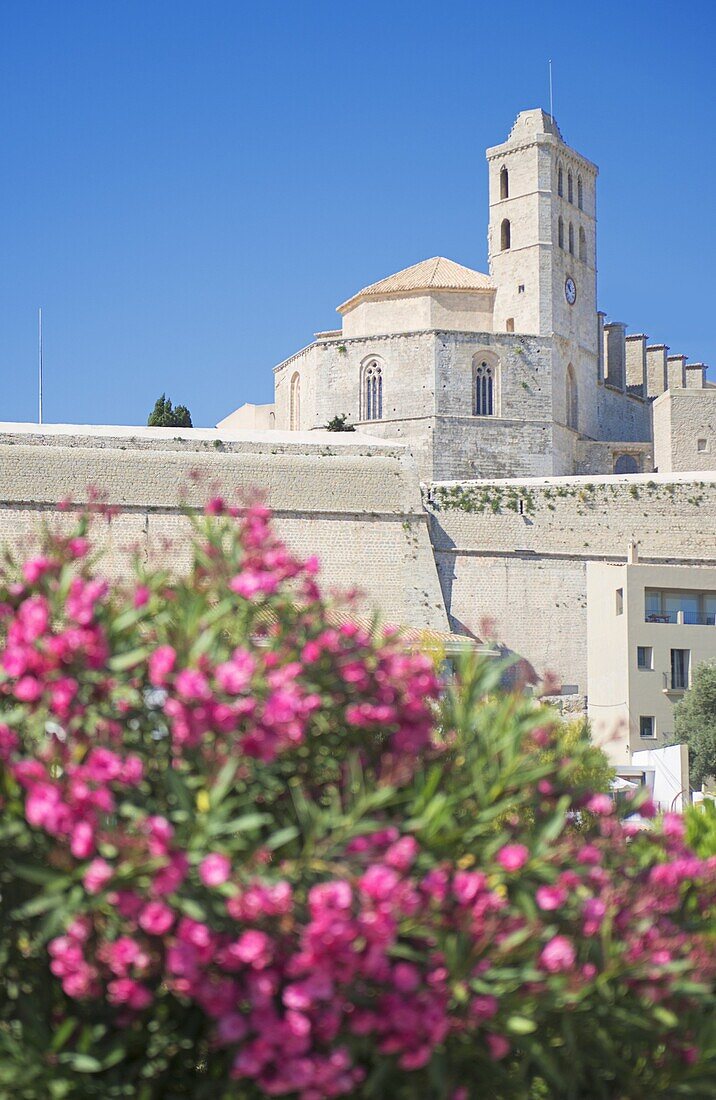 Ibiza Cathedral, Old Town (Dalt Vila), UNESCO World Heritage Site, Ibiza, Balearic Islands, Spain, Europe