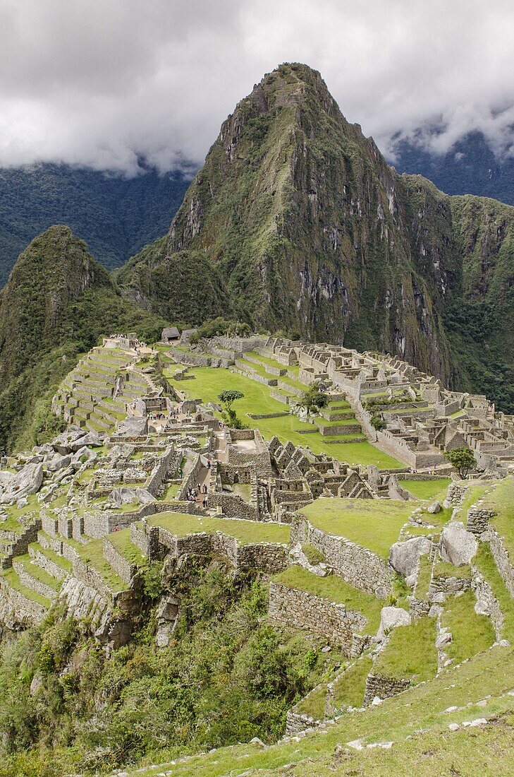 Machu Picchu, UNESCO World Heritage Site, near Aguas Calientes, Peru, South America