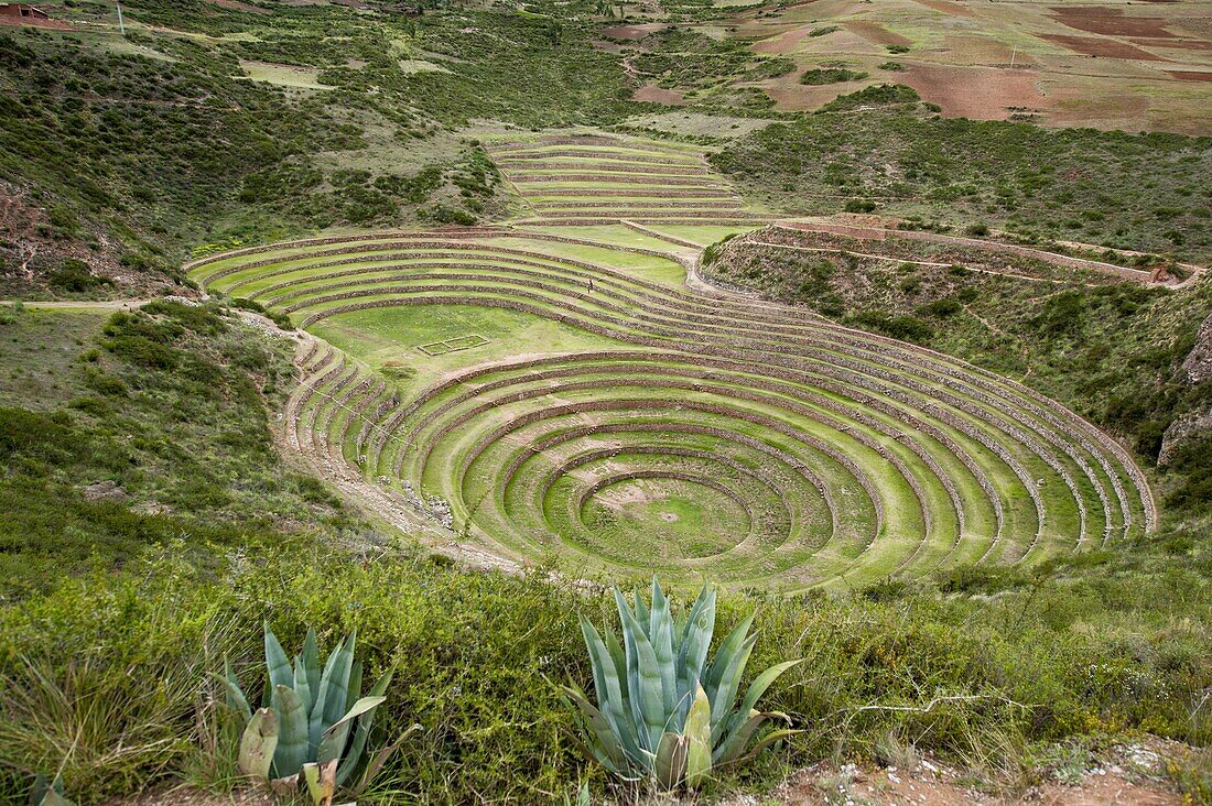 Moray Incan agricultural laboratory ruins near Maras, Sacred Valley, Peru, South America