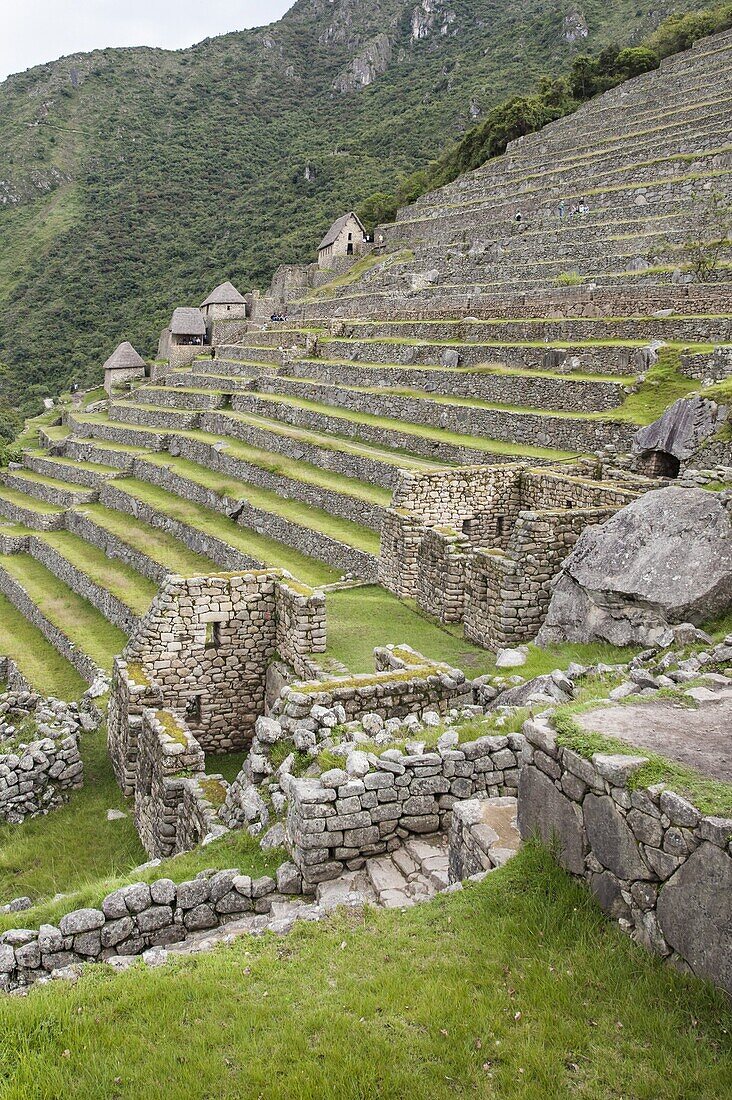 Machu Picchu, UNESCO World Heritage Site, near Aguas Calientes, Peru, South America