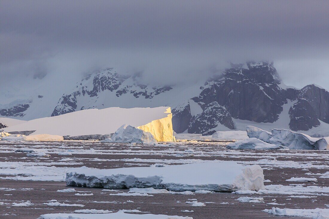 Huge iceberg amongst sea ice near Petermann Island, western side of the Antarctic Peninsula, Southern Ocean, Polar Regions