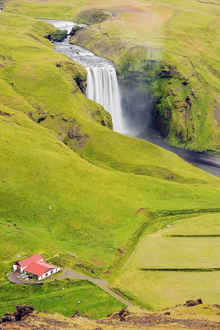 Skogafoss waterfall, Southern Region, Iceland, Polar Regions