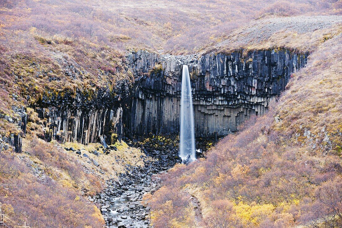 Svartifoss waterfall, Skaftafell National Park, Iceland, Polar Regions