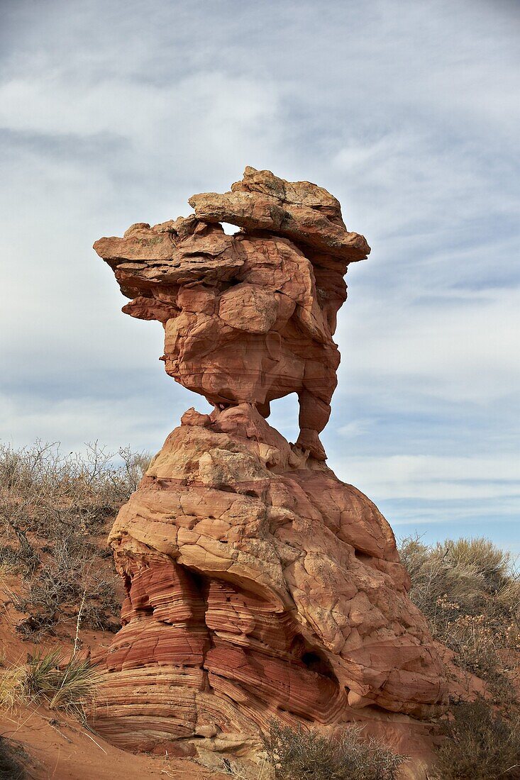 Sandstone, formations, Vermillion Cliffs National Monument, Arizona, United States of America, North America