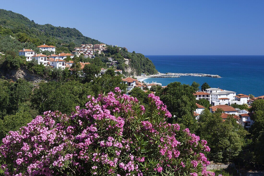 View over resort, Agios Ioannis, Pelion Peninsula, Thessaly, Greece, Europe