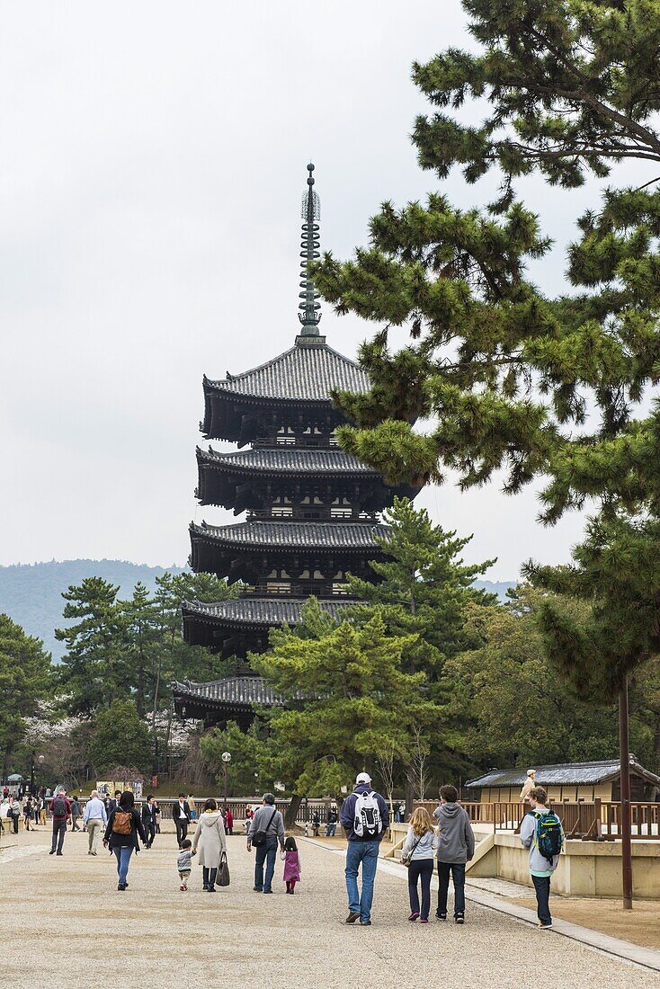 Gojyu-no-to (Five Storied Pagoda), UNESCO World Heritage Site, Nara, Kansai, Japan, Asia