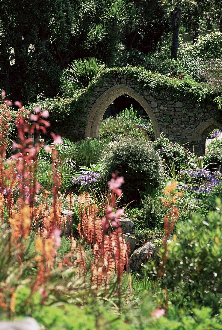 Abbey Gardens, Tresco, Isles of Scilly, United Kingdom, Europe