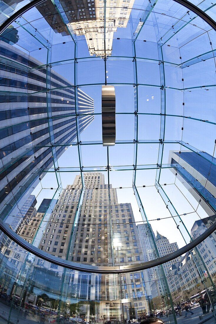 Skyscrapers of Fifth Avenue viewed from below through a glass roofed ceiling, Manhattan, New York City, New York, United States of America, North America