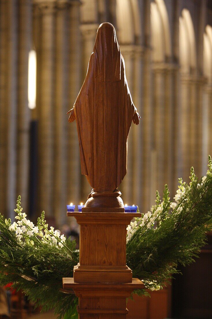 Mary statue in St. John's cathedral, Lyon, Rhone, France, Europe