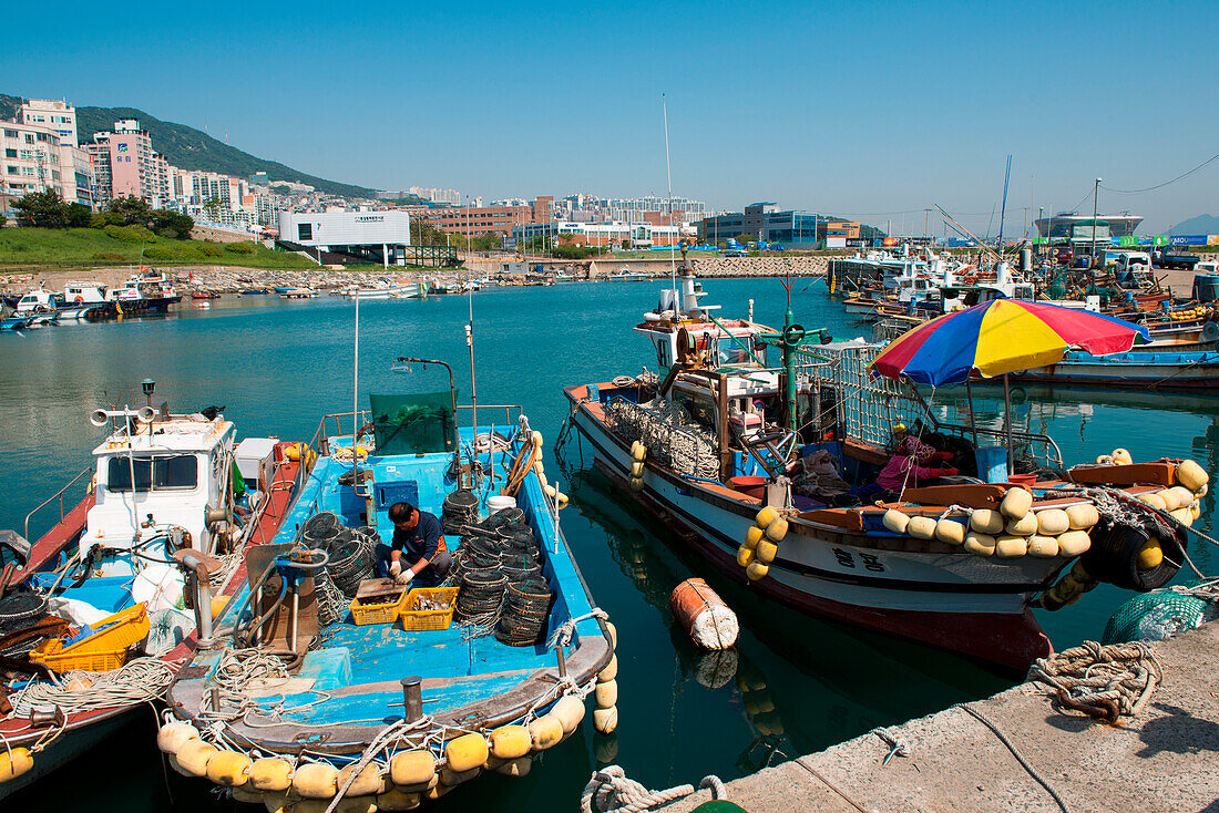 Fishing boats in harbor, Busan, Yeongnam, South Korea, Asia