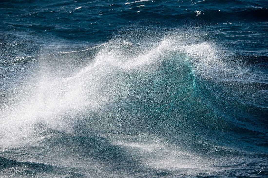 Große Welle in einer stürmischen See zwischen Buenos Aires in Argentinien und Port Stanley auf den Falklandinseln, Südlicher Atlantischer Ozean, nahe Falklandinseln, Britisches Überseegebiet, Südamerika
