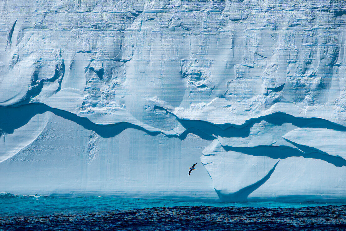 Detail von einem riesigen Eisberg, nahe Shag Rocks, Südlicher Atlantischer Ozean zwischen Falklandinseln und Südgeorgien, Antarktis