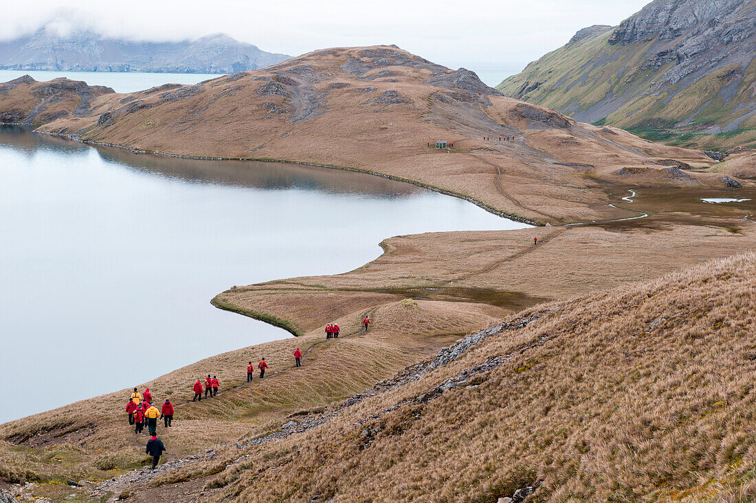 Passengers of expedition cruise ship MS Hanseatic (Hapag-Lloyd Cruises) enjoy a chance to stretch their legs during a hike from Grytviken to Maiviken on South Georgia., near Grytviken, South Georgia Island, Antarctica